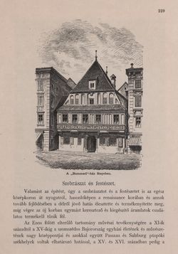 Bild der Seite - 229 - in Az Osztrák-Magyar Monarchia írásban és képben - Felsö-Ausztria ès Salzburg (Felsö-Ausztria), Band 6/1