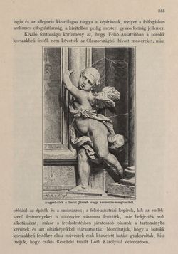 Image of the Page - 253 - in Az Osztrák-Magyar Monarchia írásban és képben - Felsö-Ausztria ès Salzburg (Felsö-Ausztria), Volume 6/1