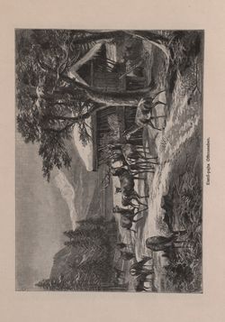 Image of the Page - 287 - in Az Osztrák-Magyar Monarchia írásban és képben - Felsö-Ausztria ès Salzburg (Felsö-Ausztria), Volume 6/1