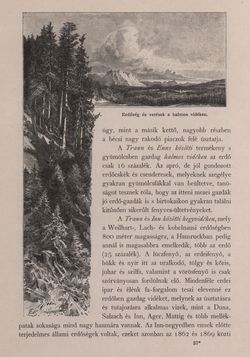 Image of the Page - 291 - in Az Osztrák-Magyar Monarchia írásban és képben - Felsö-Ausztria ès Salzburg (Felsö-Ausztria), Volume 6/1
