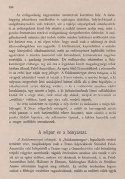 Image of the Page - 296 - in Az Osztrák-Magyar Monarchia írásban és képben - Felsö-Ausztria ès Salzburg (Felsö-Ausztria), Volume 6/1