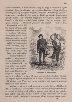 Bild der Seite - 299 - in Az Osztrák-Magyar Monarchia írásban és képben - Felsö-Ausztria ès Salzburg (Felsö-Ausztria), Band 6/1