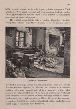 Bild der Seite - 309 - in Az Osztrák-Magyar Monarchia írásban és képben - Felsö-Ausztria ès Salzburg (Felsö-Ausztria), Band 6/1