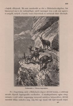 Image of the Page - 339 - in Az Osztrák-Magyar Monarchia írásban és képben - Felsö-Ausztria ès Salzburg (Salzburg), Volume 6/2