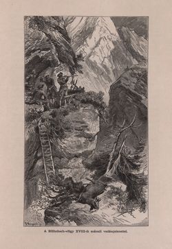 Image of the Page - 341 - in Az Osztrák-Magyar Monarchia írásban és képben - Felsö-Ausztria ès Salzburg (Salzburg), Volume 6/2