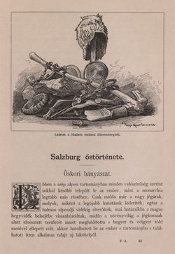 Bild der Seite - 377 - in Az Osztrák-Magyar Monarchia írásban és képben - Felsö-Ausztria ès Salzburg (Salzburg), Band 6/2