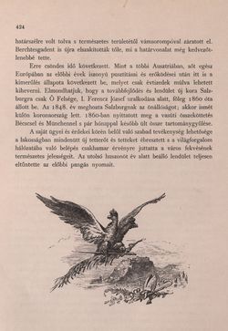 Bild der Seite - 424 - in Az Osztrák-Magyar Monarchia írásban és képben - Felsö-Ausztria ès Salzburg (Salzburg), Band 6/2