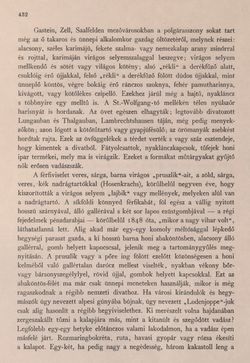 Bild der Seite - 432 - in Az Osztrák-Magyar Monarchia írásban és képben - Felsö-Ausztria ès Salzburg (Salzburg), Band 6/2