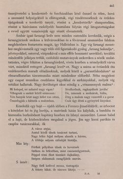 Image of the Page - 441 - in Az Osztrák-Magyar Monarchia írásban és képben - Felsö-Ausztria ès Salzburg (Salzburg), Volume 6/2
