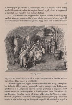 Image of the Page - 443 - in Az Osztrák-Magyar Monarchia írásban és képben - Felsö-Ausztria ès Salzburg (Salzburg), Volume 6/2