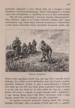 Image of the Page - 447 - in Az Osztrák-Magyar Monarchia írásban és képben - Felsö-Ausztria ès Salzburg (Salzburg), Volume 6/2
