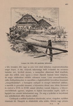 Image of the Page - 465 - in Az Osztrák-Magyar Monarchia írásban és képben - Felsö-Ausztria ès Salzburg (Salzburg), Volume 6/2