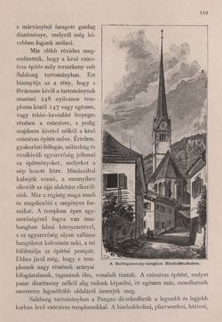 Bild der Seite - 519 - in Az Osztrák-Magyar Monarchia írásban és képben - Felsö-Ausztria ès Salzburg (Salzburg), Band 6/2