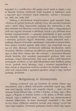 Bild der Seite - 578 - in Az Osztrák-Magyar Monarchia írásban és képben - Felsö-Ausztria ès Salzburg (Salzburg), Band 6/2