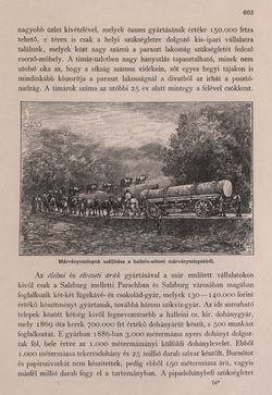 Bild der Seite - 603 - in Az Osztrák-Magyar Monarchia írásban és képben - Felsö-Ausztria ès Salzburg (Salzburg), Band 6/2