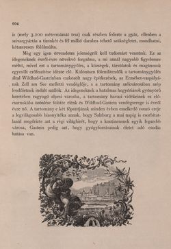 Bild der Seite - 604 - in Az Osztrák-Magyar Monarchia írásban és képben - Felsö-Ausztria ès Salzburg (Salzburg), Band 6/2