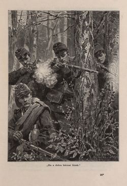 Image of the Page - 203 - in Az Osztrák-Magyar Monarchia írásban és képben - Stiria, Volume 7