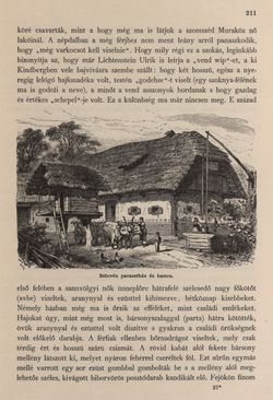 Image of the Page - 211 - in Az Osztrák-Magyar Monarchia írásban és képben - Stiria, Volume 7