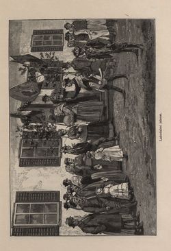 Image of the Page - 215 - in Az Osztrák-Magyar Monarchia írásban és képben - Stiria, Volume 7