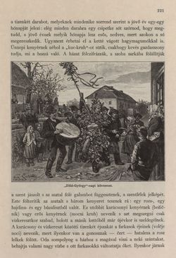 Image of the Page - 221 - in Az Osztrák-Magyar Monarchia írásban és képben - Stiria, Volume 7