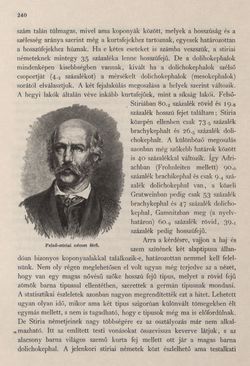 Image of the Page - 240 - in Az Osztrák-Magyar Monarchia írásban és képben - Stiria, Volume 7