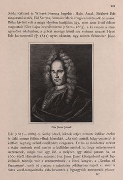 Image of the Page - 267 - in Az Osztrák-Magyar Monarchia írásban és képben - Stiria, Volume 7