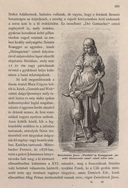 Bild der Seite - 289 - in Az Osztrák-Magyar Monarchia írásban és képben - Stiria, Band 7