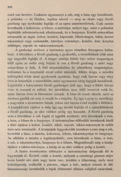Image of the Page - 358 - in Az Osztrák-Magyar Monarchia írásban és képben - Stiria, Volume 7