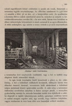 Image of the Page - 365 - in Az Osztrák-Magyar Monarchia írásban és képben - Stiria, Volume 7
