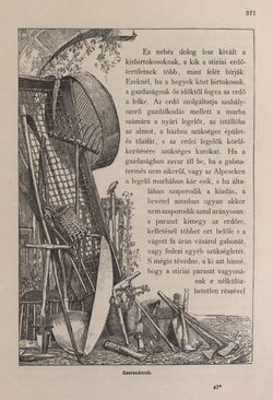Image of the Page - 371 - in Az Osztrák-Magyar Monarchia írásban és képben - Stiria, Volume 7