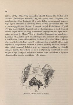 Bild der Seite - 86 - in Az Osztrák-Magyar Monarchia írásban és képben - Karinthia és Krajna (Karinthia), Band 8/1