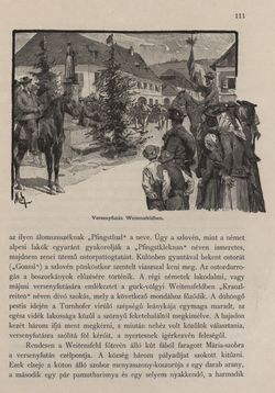 Image of the Page - 111 - in Az Osztrák-Magyar Monarchia írásban és képben - Karinthia és Krajna (Karinthia), Volume 8/1