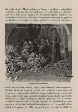 Bild der Seite - 149 - in Az Osztrák-Magyar Monarchia írásban és képben - Karinthia és Krajna (Karinthia), Band 8/1