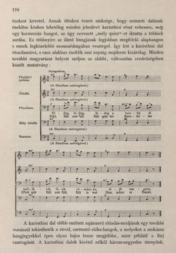 Bild der Seite - 178 - in Az Osztrák-Magyar Monarchia írásban és képben - Karinthia és Krajna (Karinthia), Band 8/1