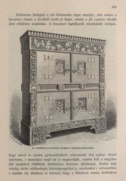 Bild der Seite - 229 - in Az Osztrák-Magyar Monarchia írásban és képben - Karinthia és Krajna (Karinthia), Band 8/1