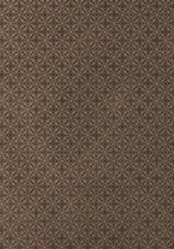 Image of the Page - (eh00002) - in Az Osztrák-Magyar Monarchia írásban és képben - Karinthia és Krajna (Karinthia), Volume 8/1