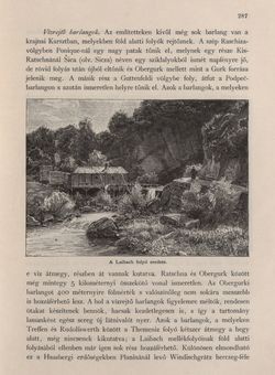 Image of the Page - 287 - in Az Osztrák-Magyar Monarchia írásban és képben - Karinthia és Krajna (Krajna), Volume 8/2