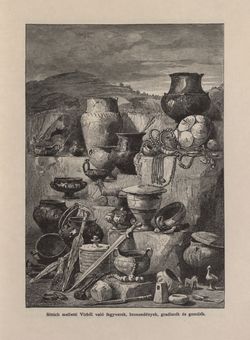 Image of the Page - 309 - in Az Osztrák-Magyar Monarchia írásban és képben - Karinthia és Krajna (Krajna), Volume 8/2