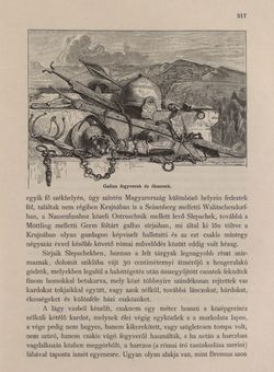 Image of the Page - 317 - in Az Osztrák-Magyar Monarchia írásban és képben - Karinthia és Krajna (Krajna), Volume 8/2