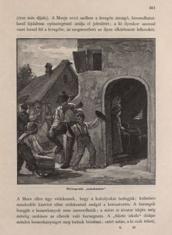 Bild der Seite - 361 - in Az Osztrák-Magyar Monarchia írásban és képben - Karinthia és Krajna (Krajna), Band 8/2