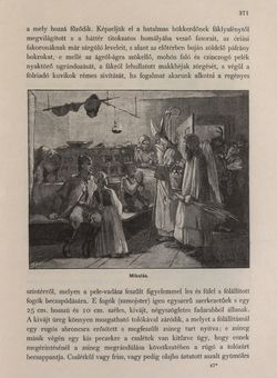 Image of the Page - 371 - in Az Osztrák-Magyar Monarchia írásban és képben - Karinthia és Krajna (Krajna), Volume 8/2