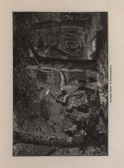 Bild der Seite - 375 - in Az Osztrák-Magyar Monarchia írásban és képben - Karinthia és Krajna (Krajna), Band 8/2