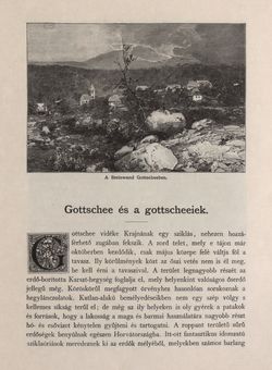 Bild der Seite - 421 - in Az Osztrák-Magyar Monarchia írásban és képben - Karinthia és Krajna (Krajna), Band 8/2