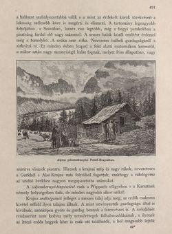 Bild der Seite - 491 - in Az Osztrák-Magyar Monarchia írásban és képben - Karinthia és Krajna (Krajna), Band 8/2
