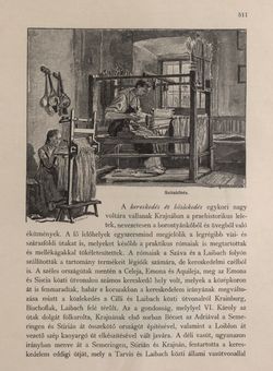 Bild der Seite - 511 - in Az Osztrák-Magyar Monarchia írásban és képben - Karinthia és Krajna (Krajna), Band 8/2