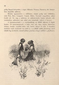 Image of the Page - 20 - in Az Osztrák-Magyar Monarchia írásban és képben - Magyarország II (1), Volume 9/1