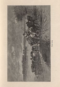 Image of the Page - 45 - in Az Osztrák-Magyar Monarchia írásban és képben - Magyarország II (1), Volume 9/1