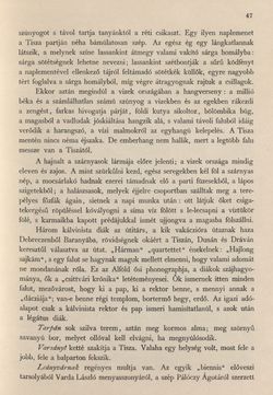 Bild der Seite - 47 - in Az Osztrák-Magyar Monarchia írásban és képben - Magyarország II (1), Band 9/1