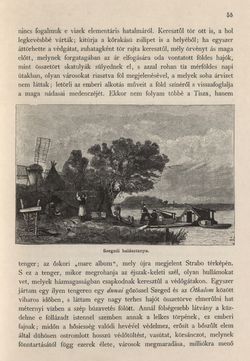 Bild der Seite - 55 - in Az Osztrák-Magyar Monarchia írásban és képben - Magyarország II (1), Band 9/1