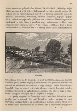 Bild der Seite - 65 - in Az Osztrák-Magyar Monarchia írásban és képben - Magyarország II (1), Band 9/1